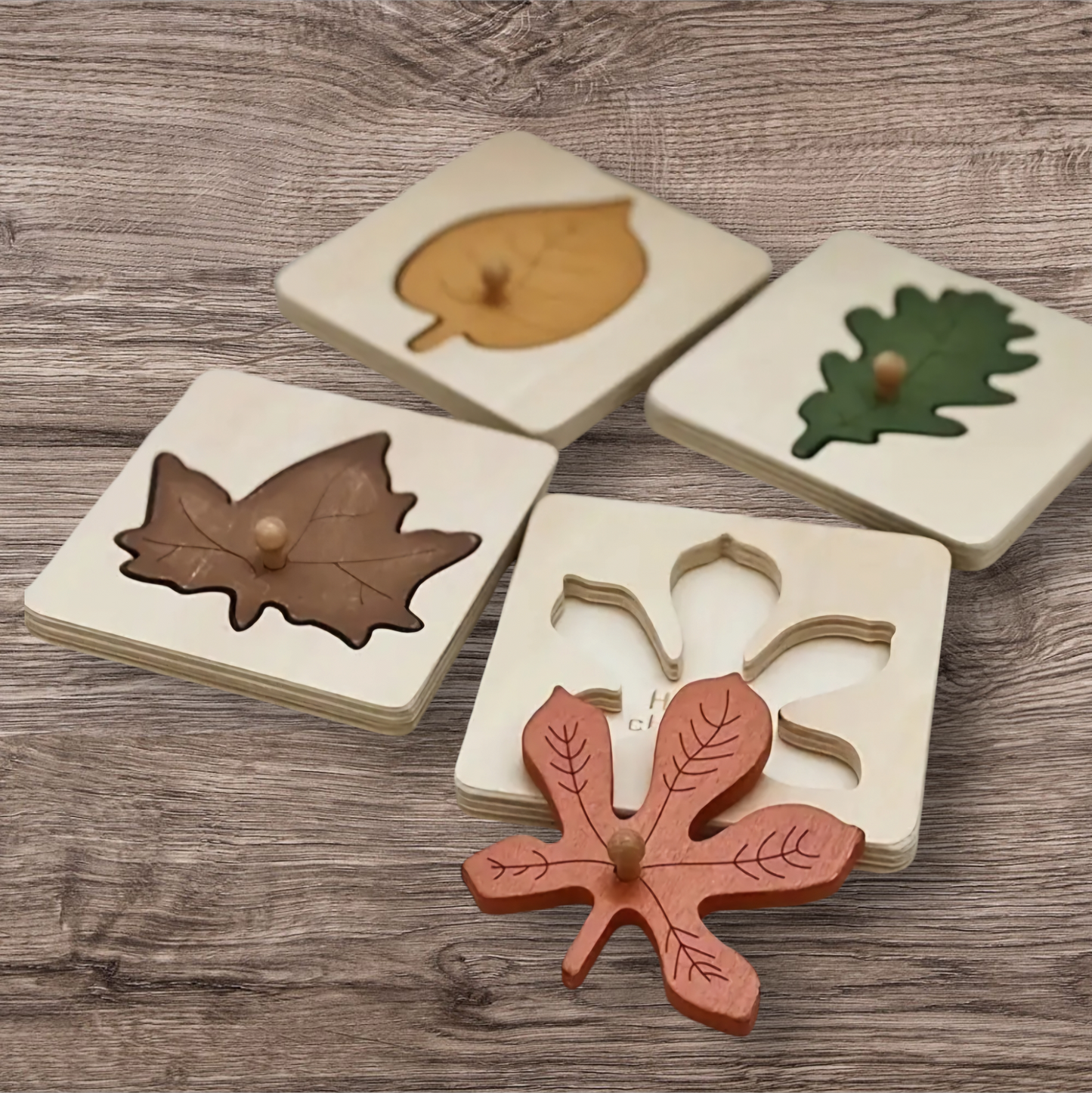 Christmas Countdown Sale Price! Montessori Leaf Puzzle Toy - 4 pieces