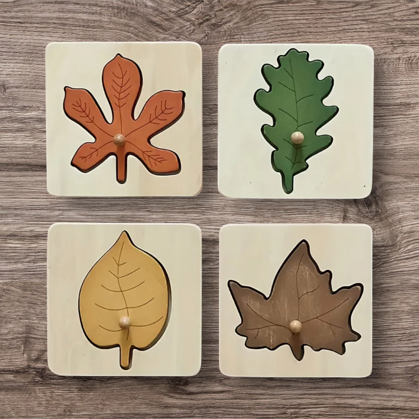 Christmas Countdown Sale Price! Montessori Leaf Puzzle Toy - 4 pieces