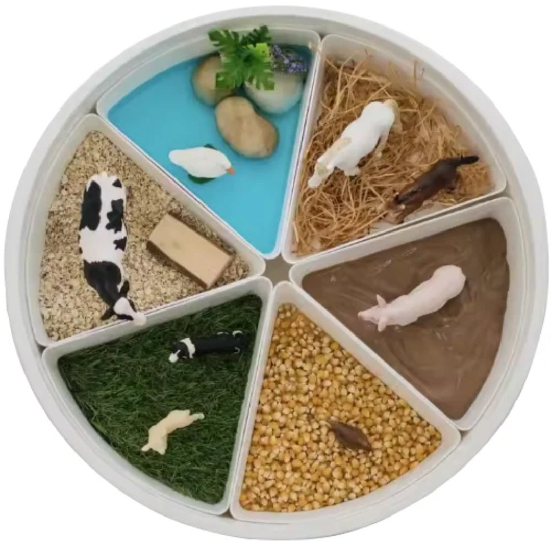 Messeage Us About a Bundle that includes our PlayTray & All Tools! Sensory Bin with Lid and Removable Inserts - Play Tray