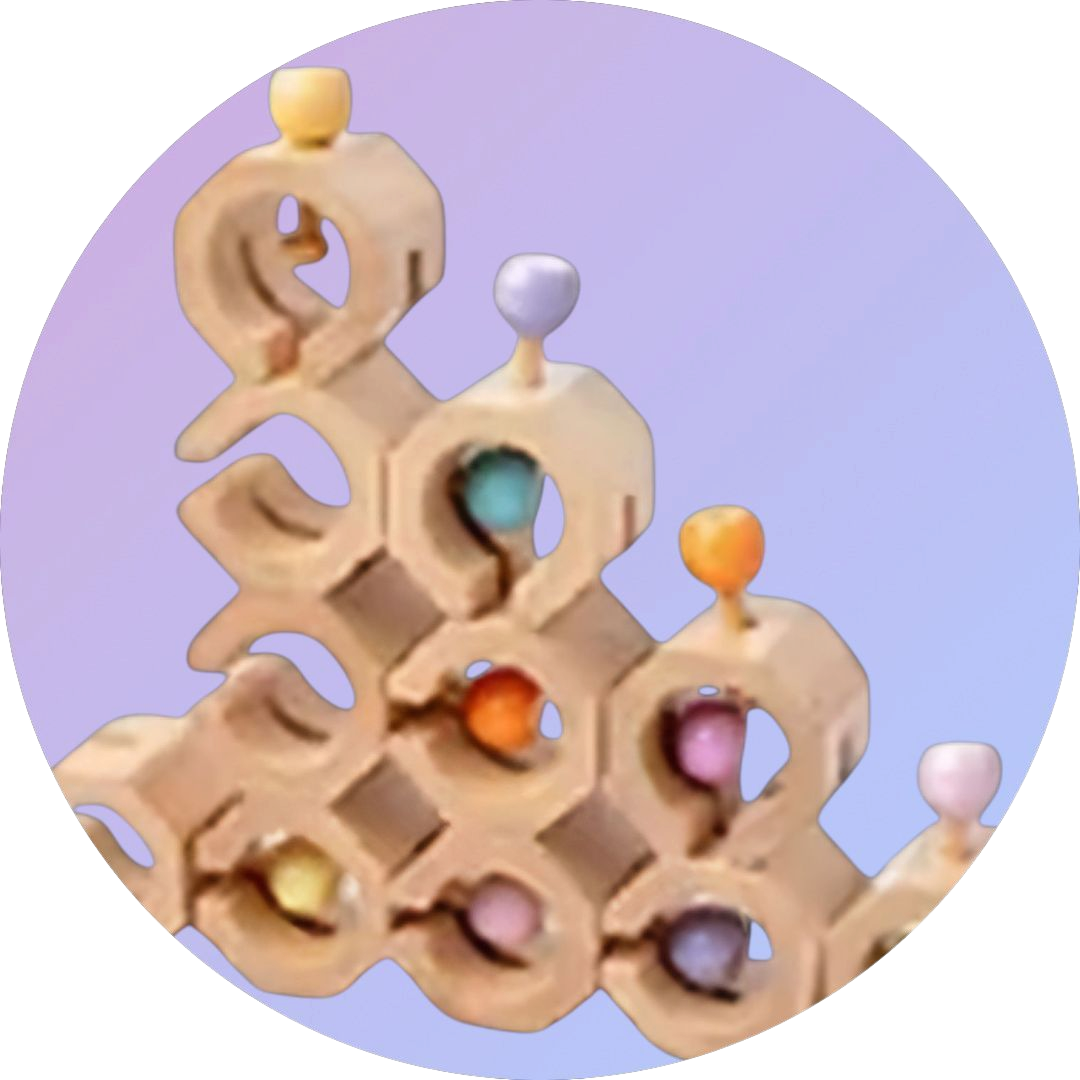 Christmas Countdown Sale Price! π Shape Matching & Stacking Toy