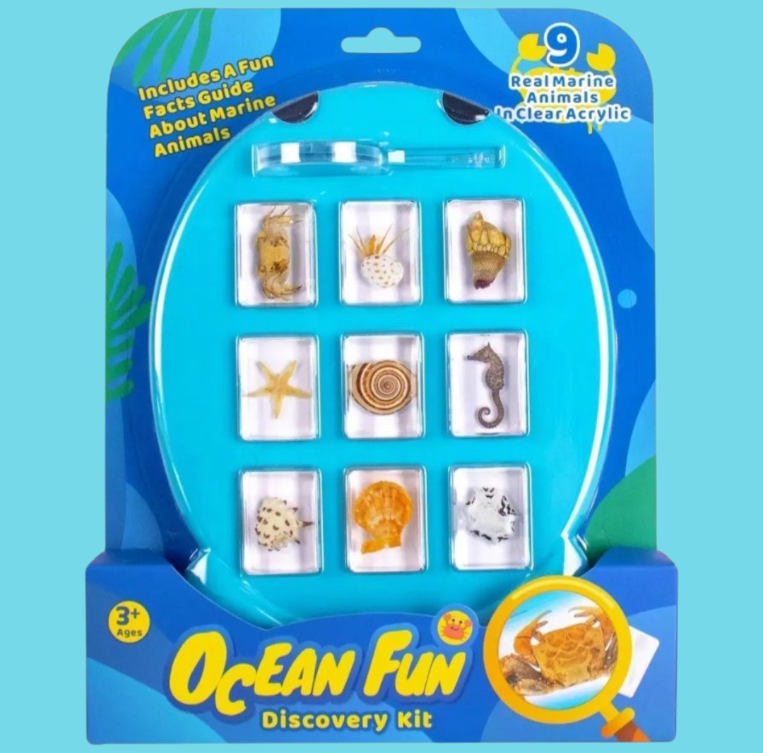 Real Specimens Discovery Sets
