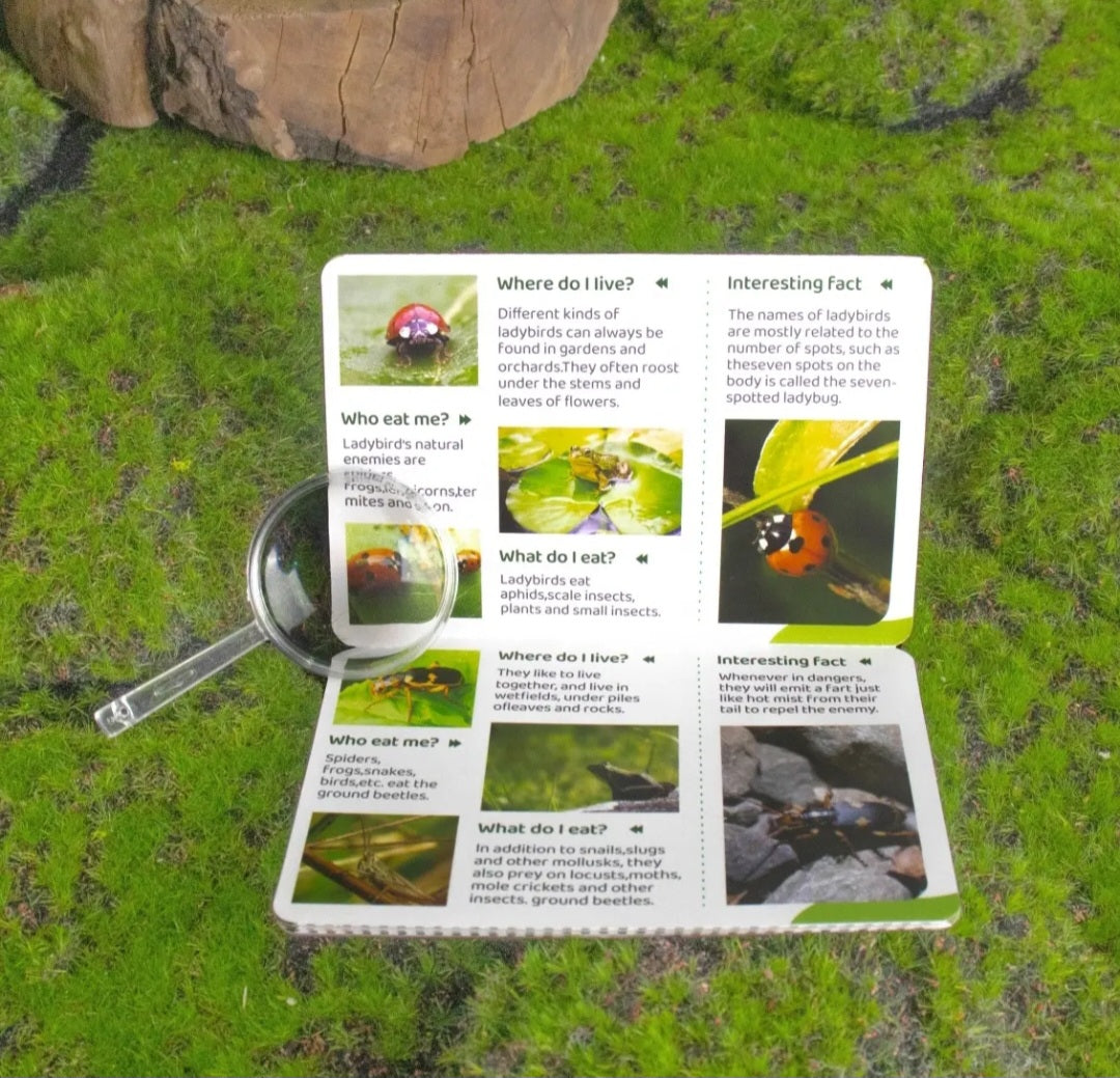 Real Specimens Discovery Sets