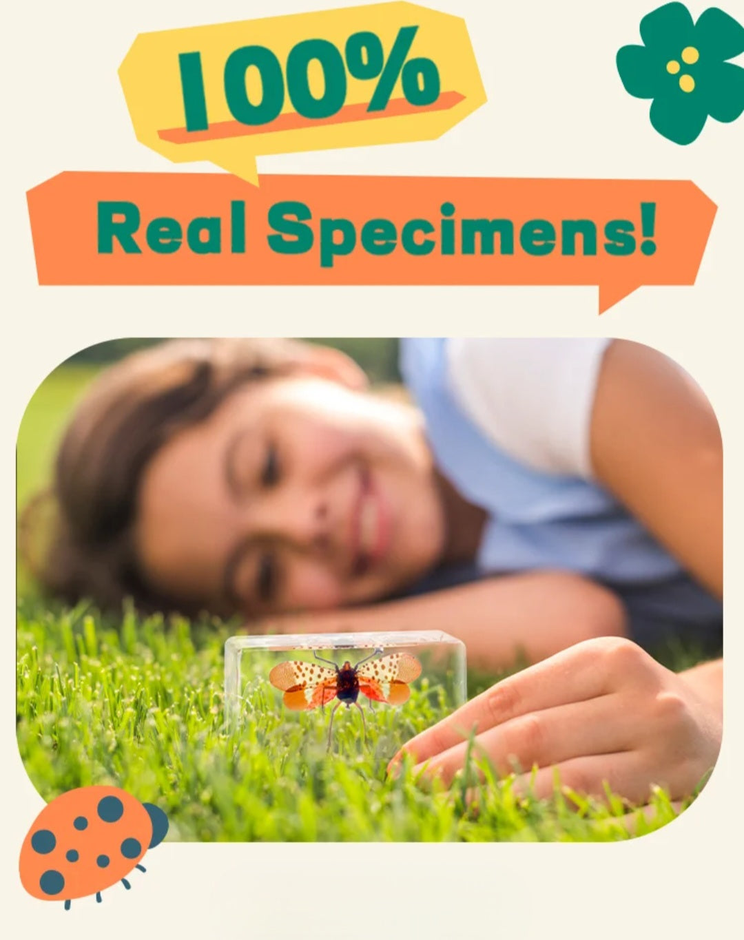 Real Specimens Discovery Sets