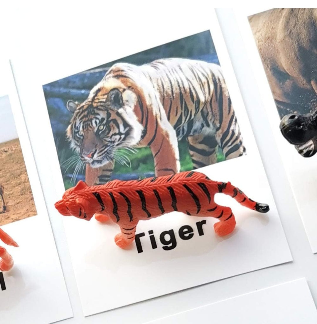 π¦ Montessori Animal Match Set β 
 Animal Figurines with Matching Cards πΏ