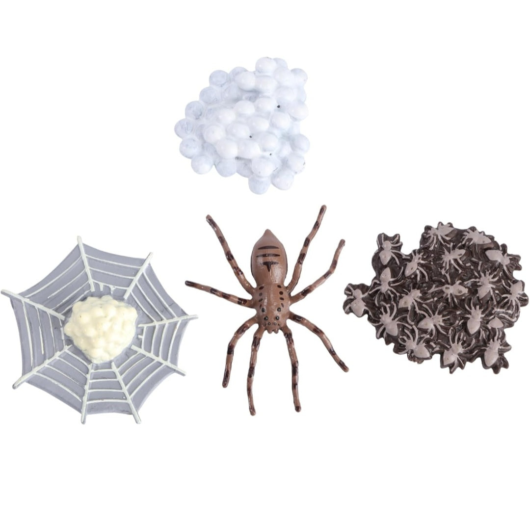 Life Cycle Figurine Sets