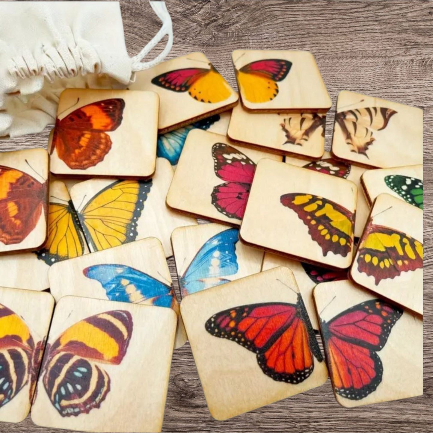 Montessori Wooden Butterfly Matching Puzzle