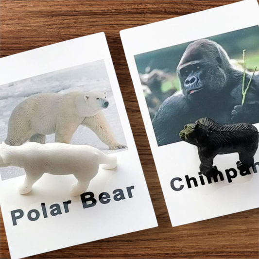 🦁 Montessori Animal Match Set – 
 Animal Figurines with Matching Cards 🌿