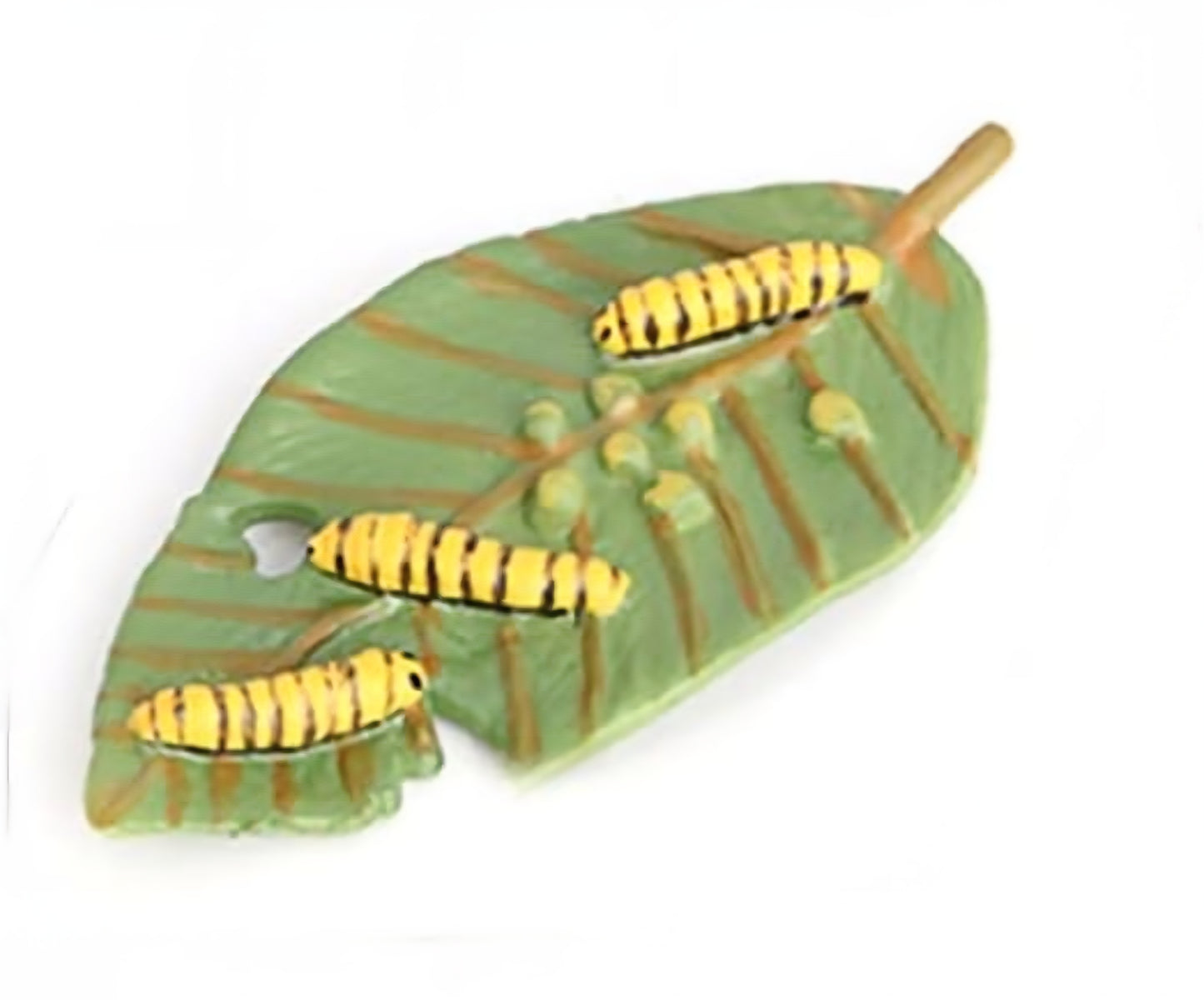 Life Cycle Figurine Sets