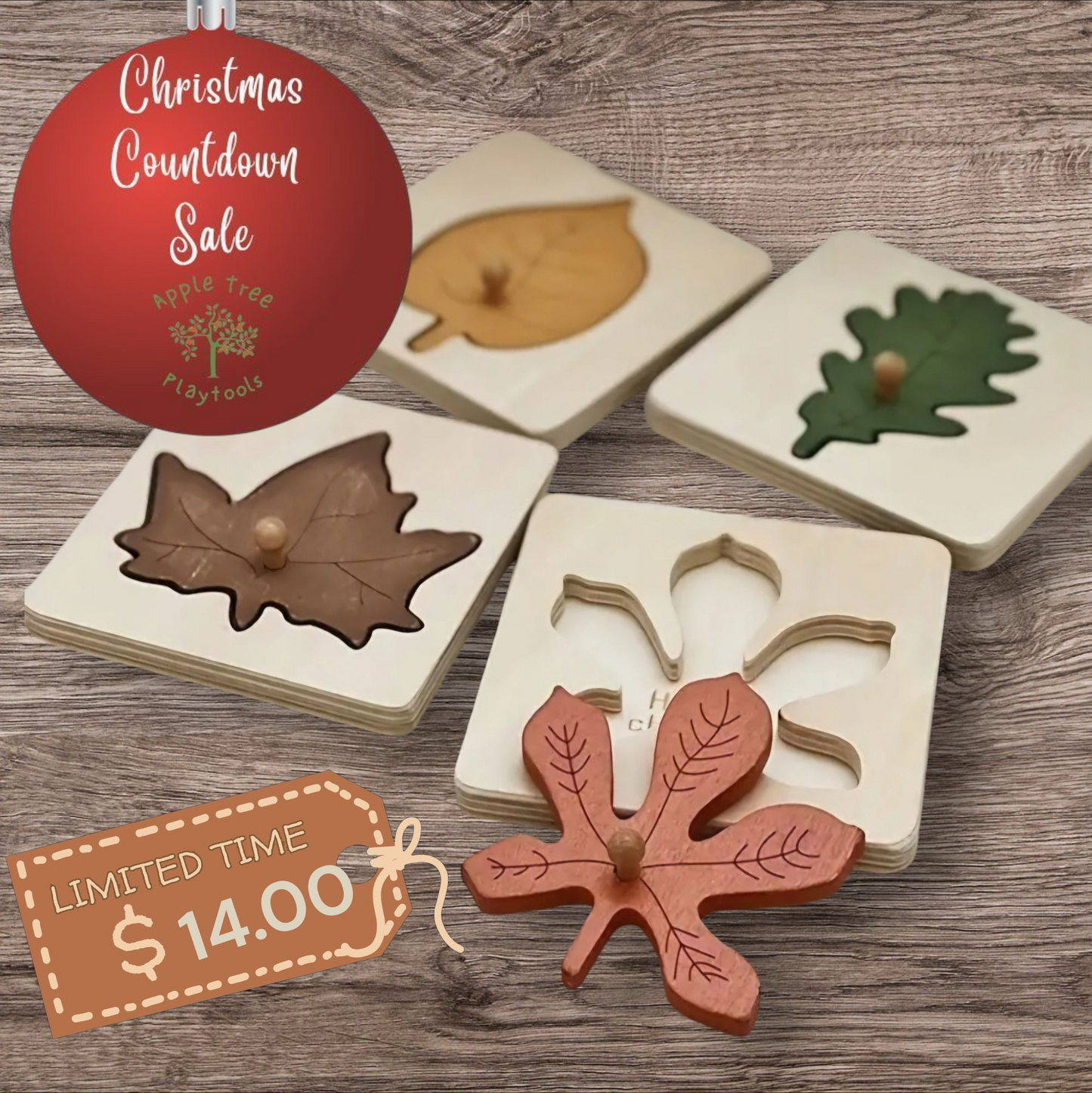 Wooden Leaves Puzzle