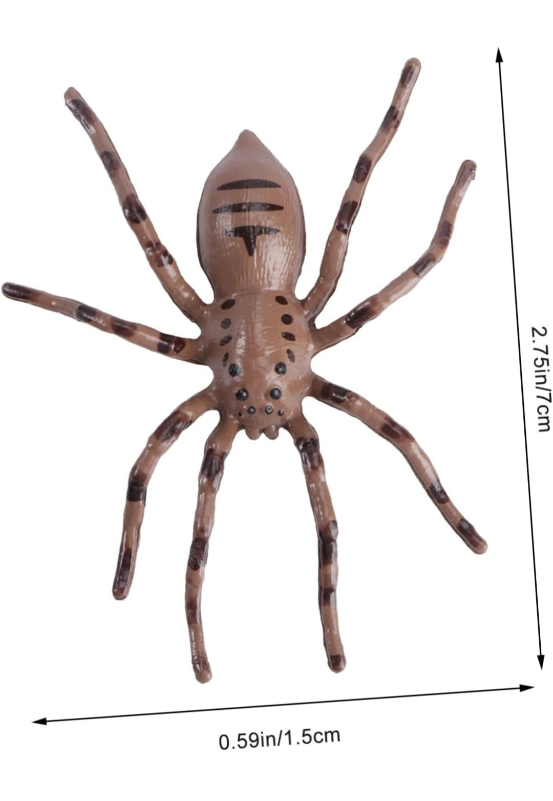 Life Cycle Figurine Sets
