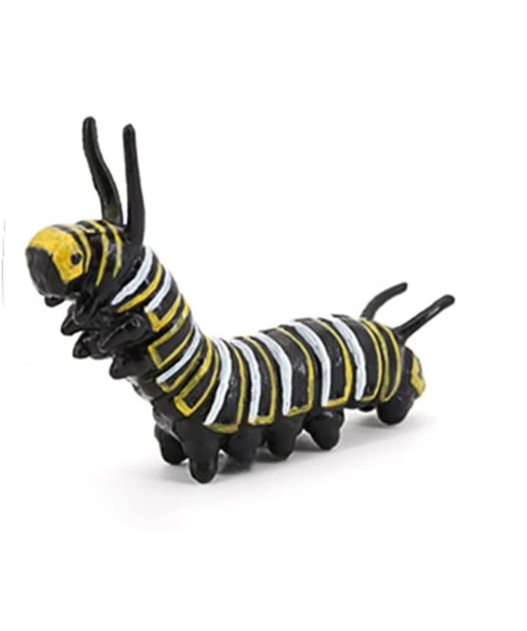 Life Cycle Figurine Sets
