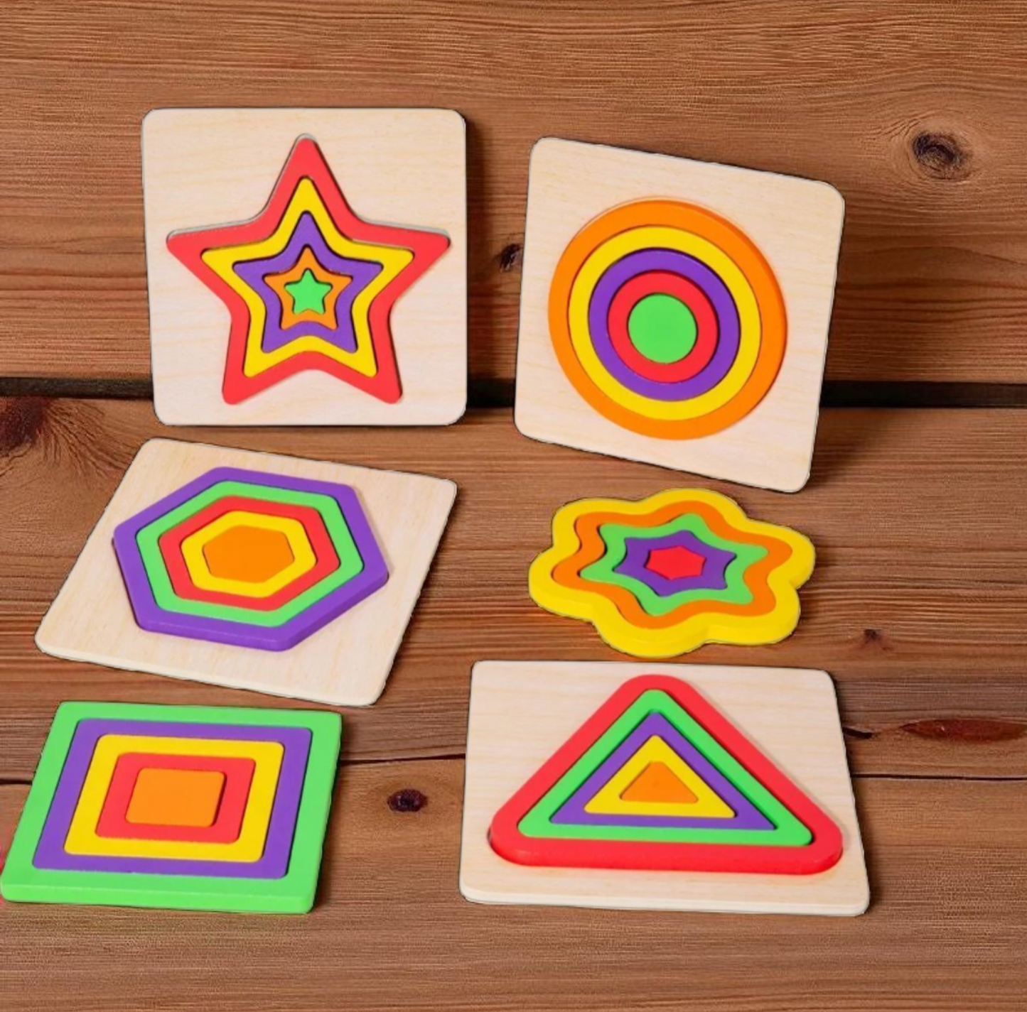 Montessori Wooden Shape Sorting Puzzles