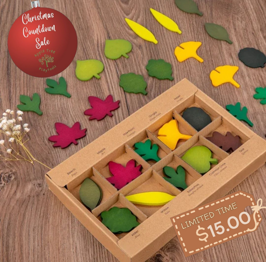 Christmas Countdown Sale Price 🍁 Wooden Leaf Play Set - 40-Piece Loose Parts Play for Little Botanists