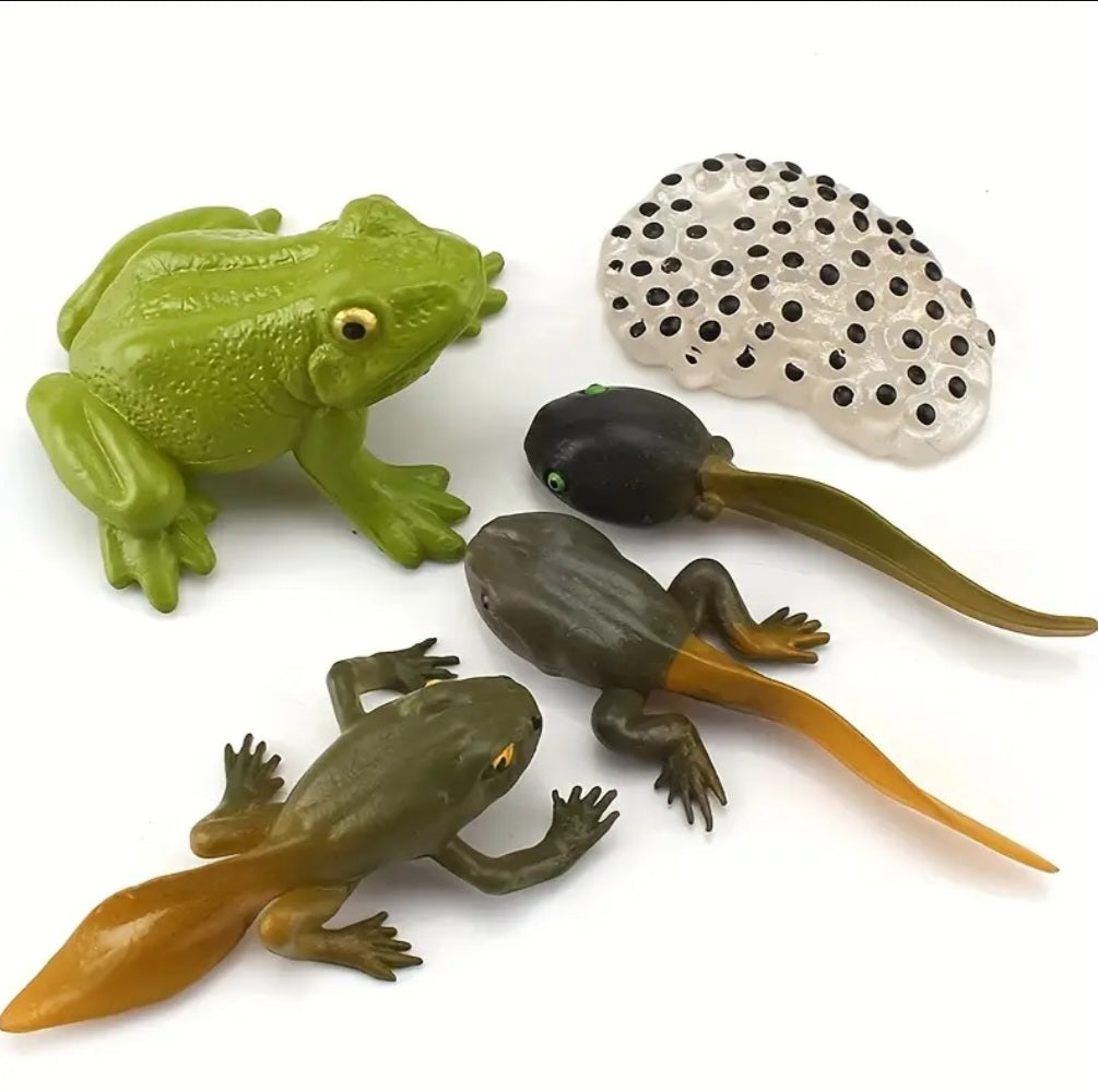 Life Cycle Figurine Sets
