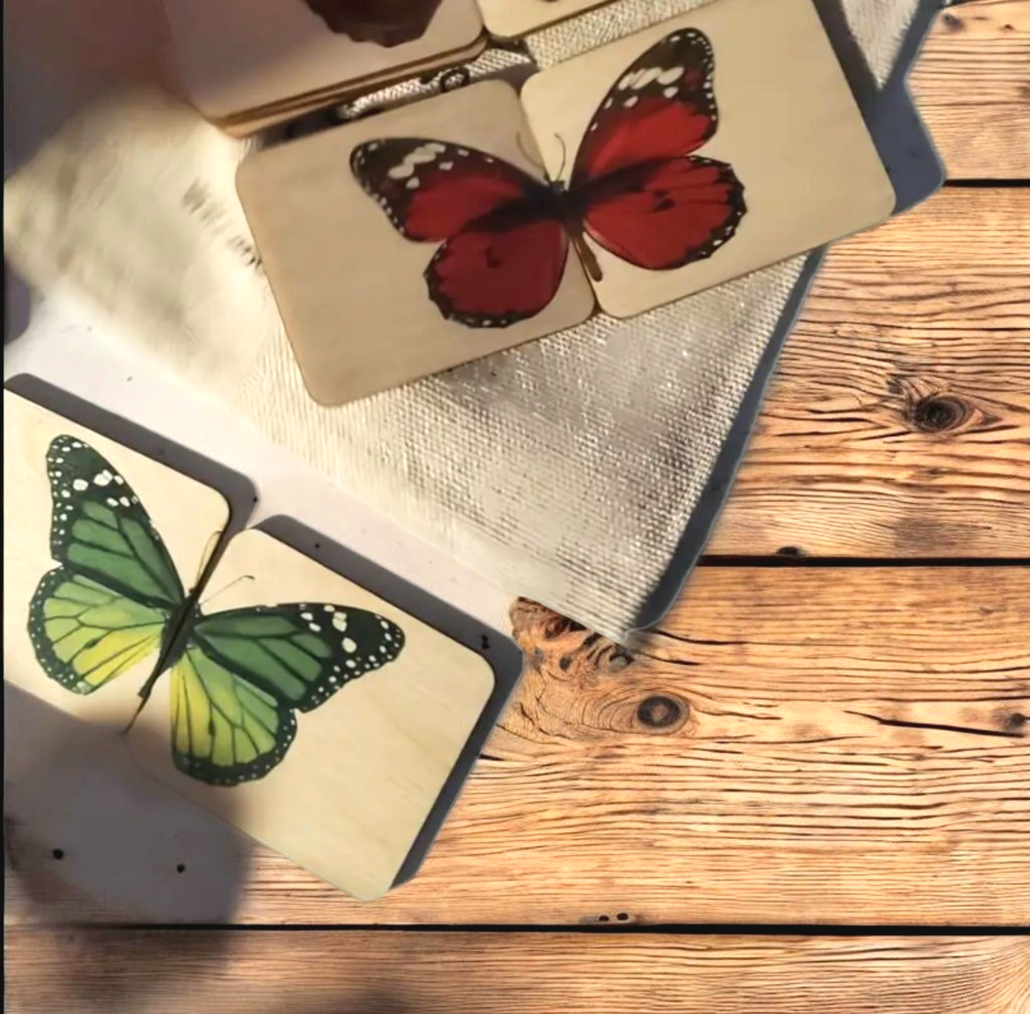Montessori Wooden Butterfly Matching Puzzle