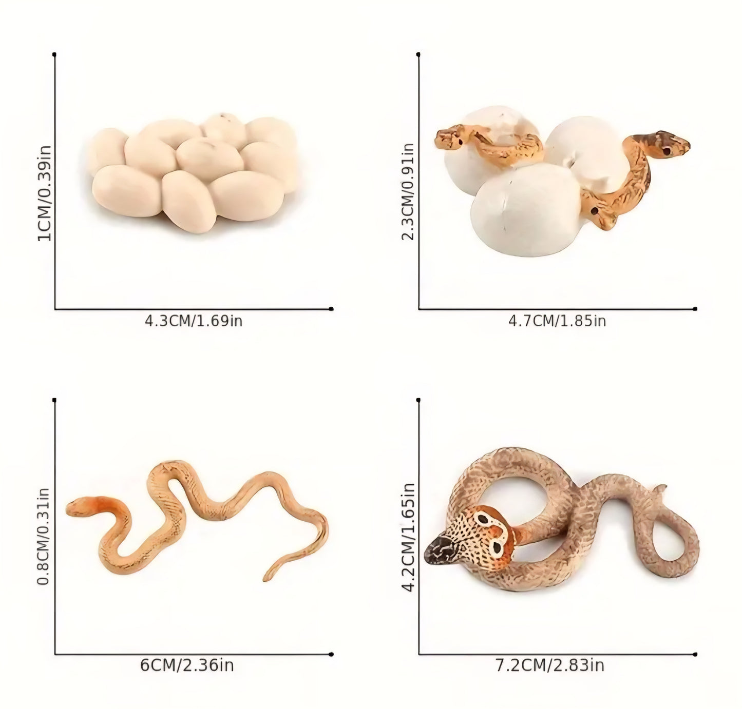 Life Cycle Figurine Sets