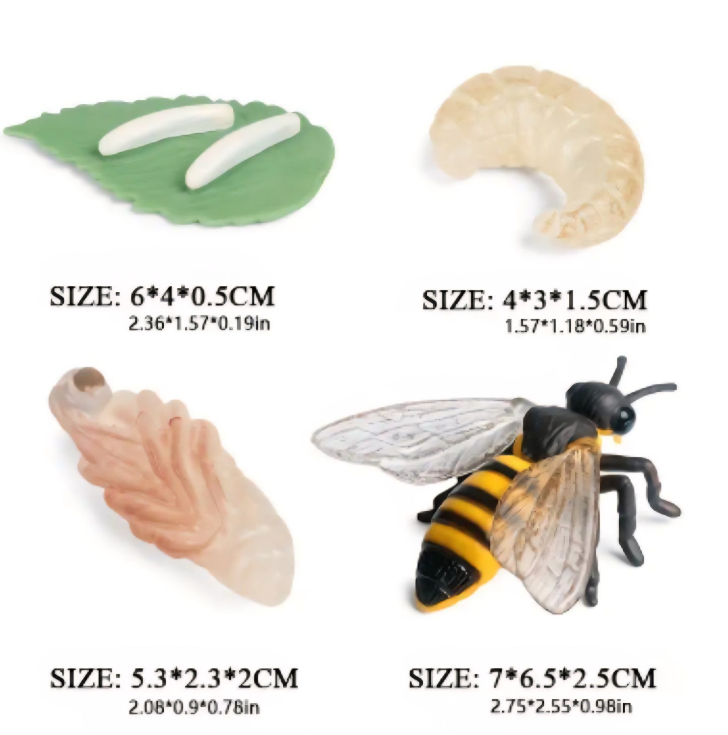 Life Cycle Figurine Sets