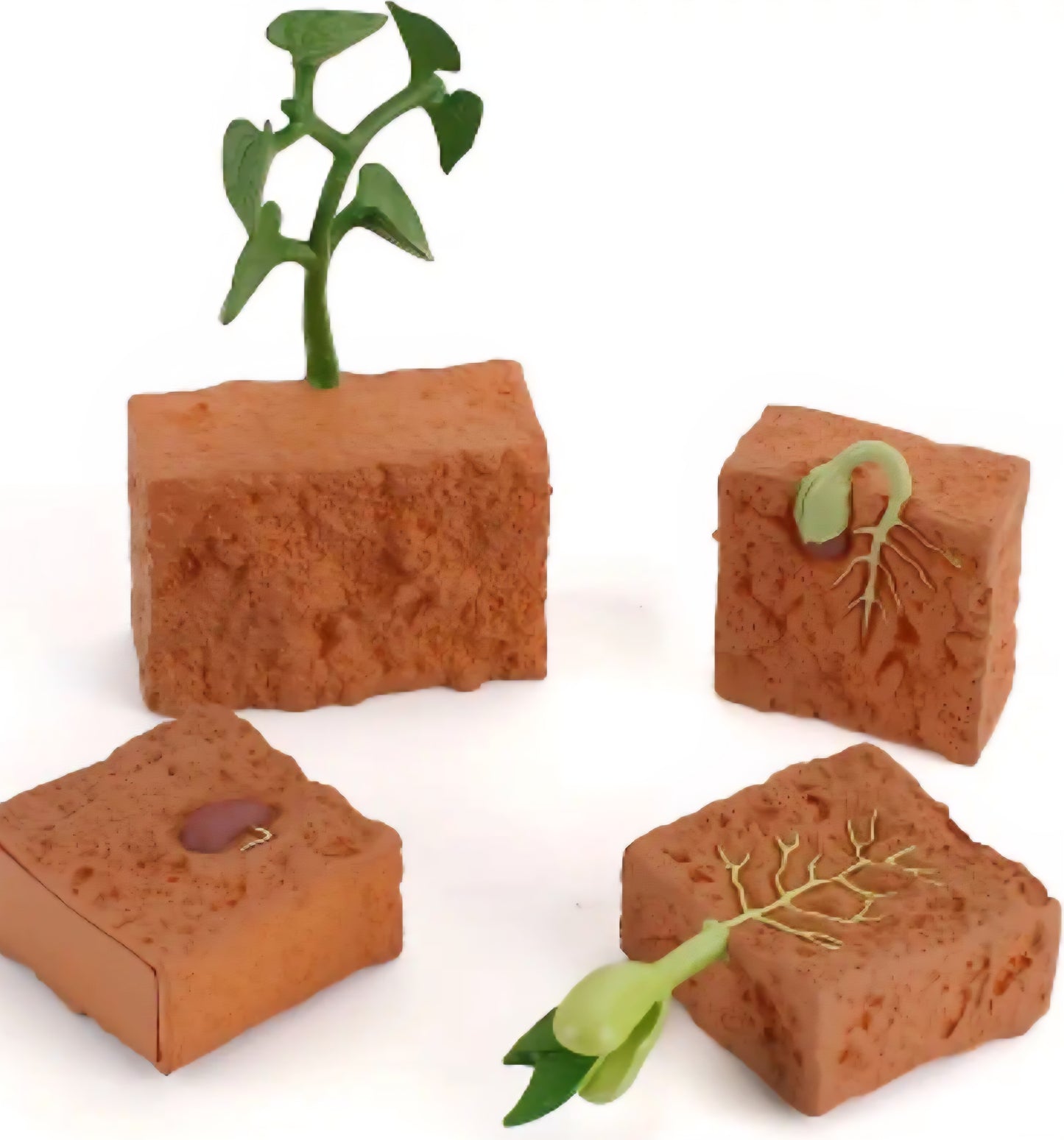 Life Cycle Figurine Sets