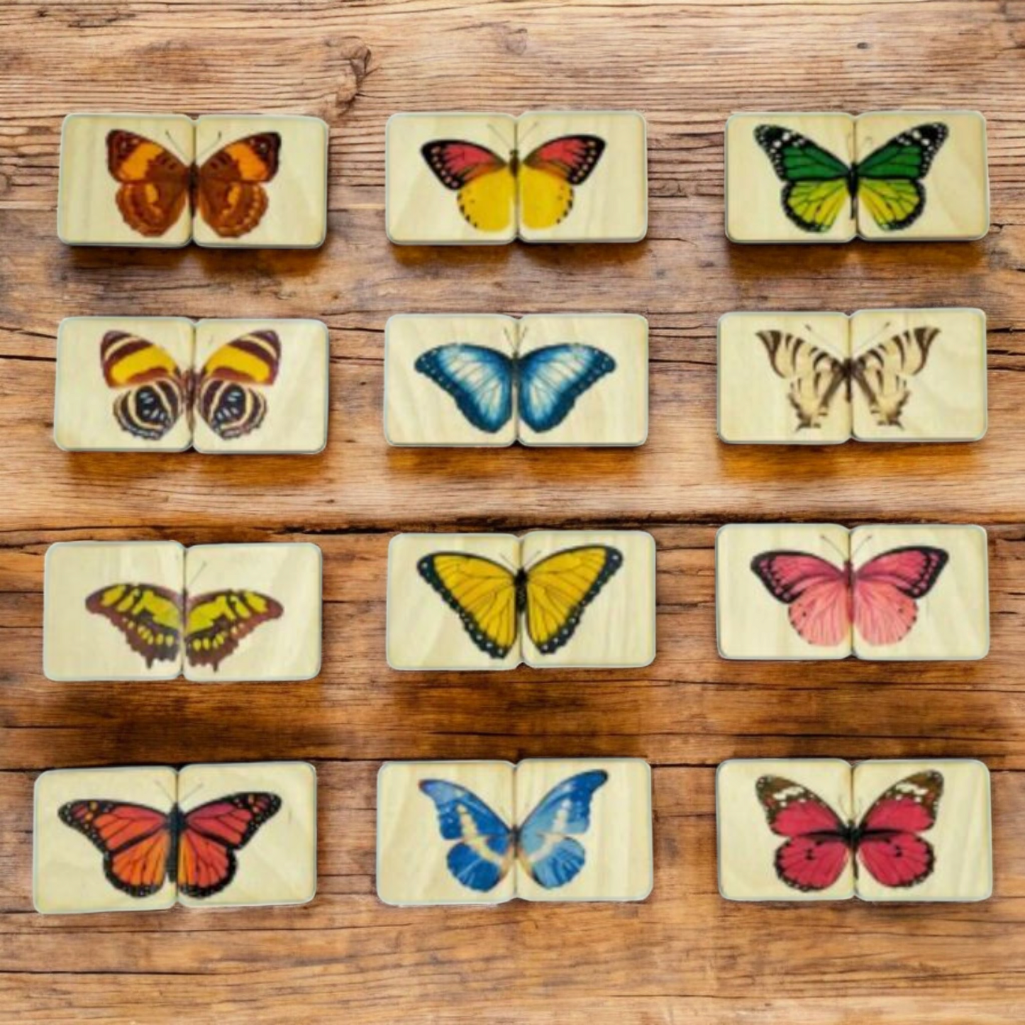 Montessori Wooden Butterfly Matching Puzzle