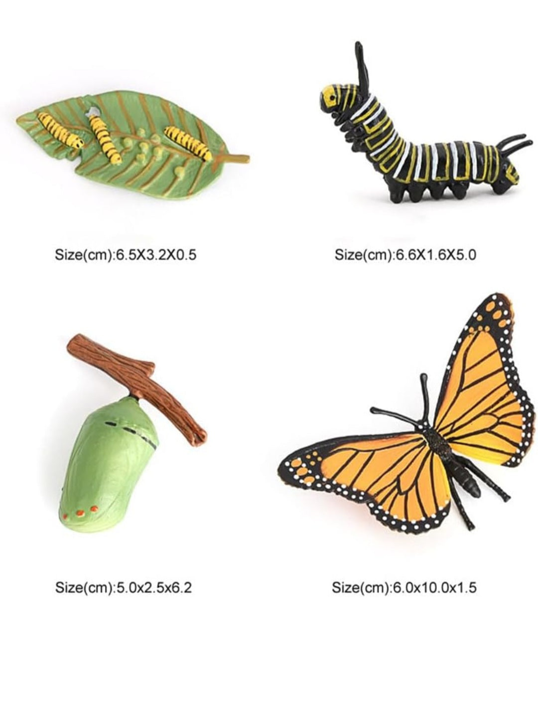 Life Cycle Figurine Sets