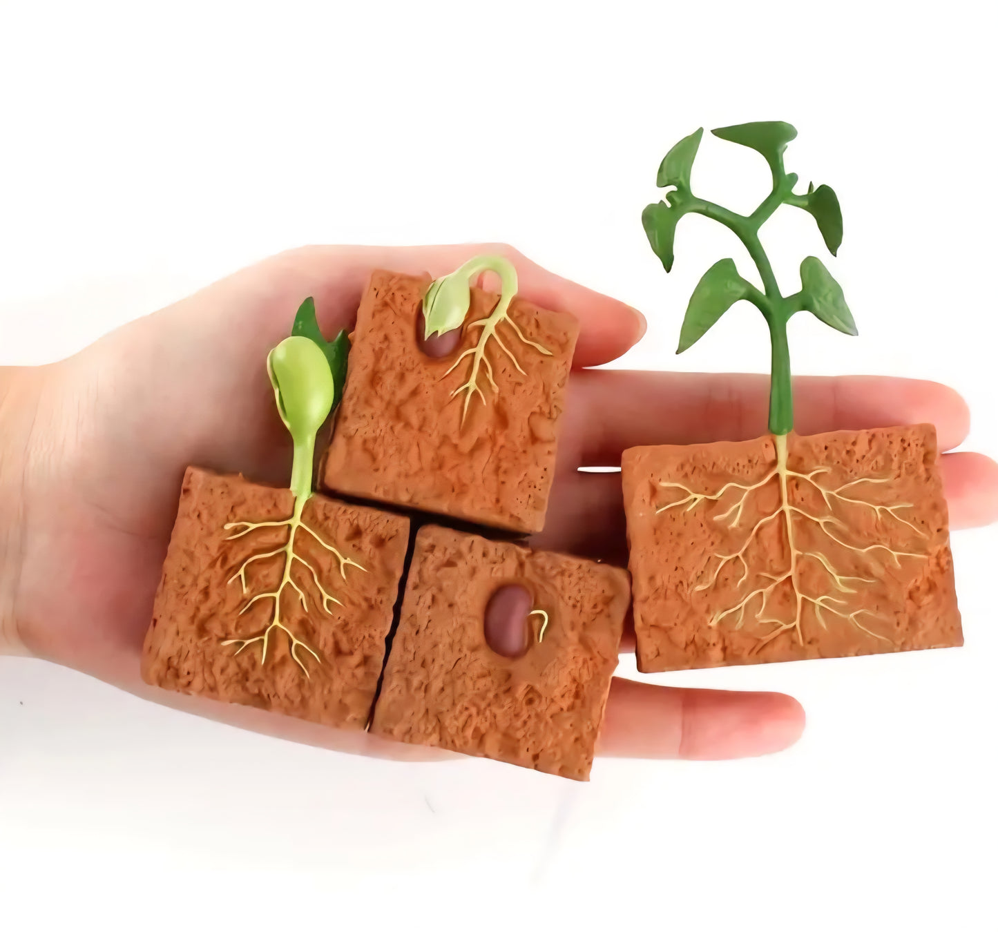 Life Cycle Figurine Sets