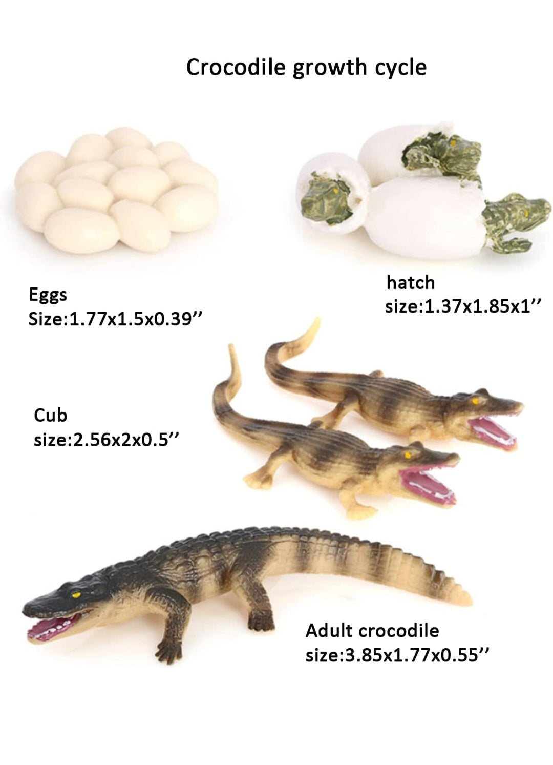 Life Cycle Figurine Sets