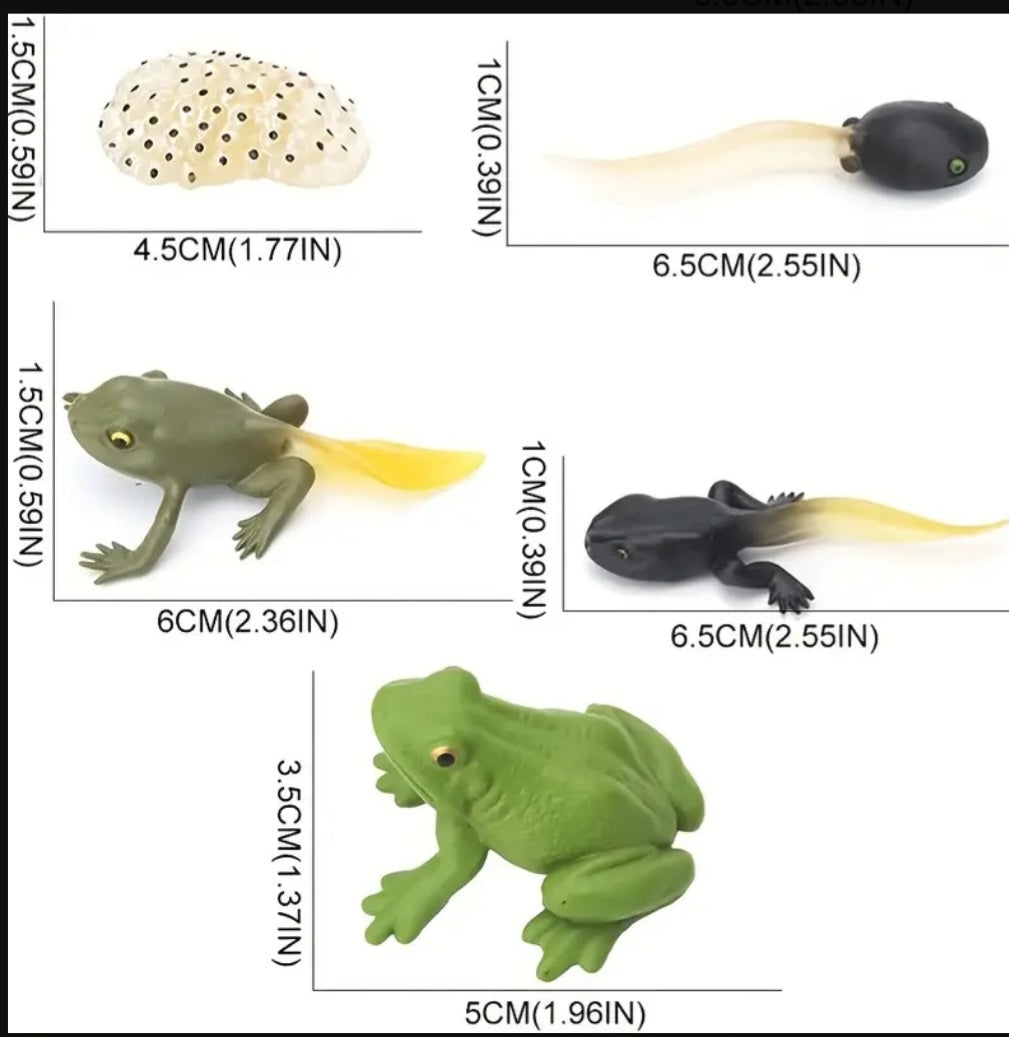 Life Cycle Figurine Sets