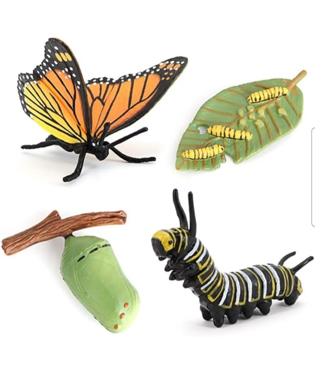 Life Cycle Figurine Sets