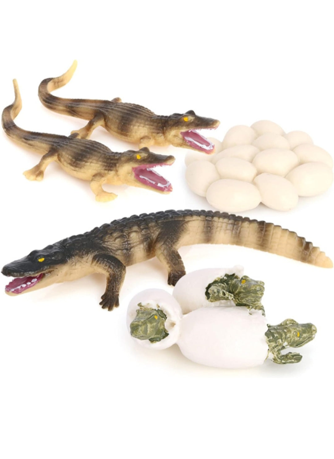 Life Cycle Figurine Sets