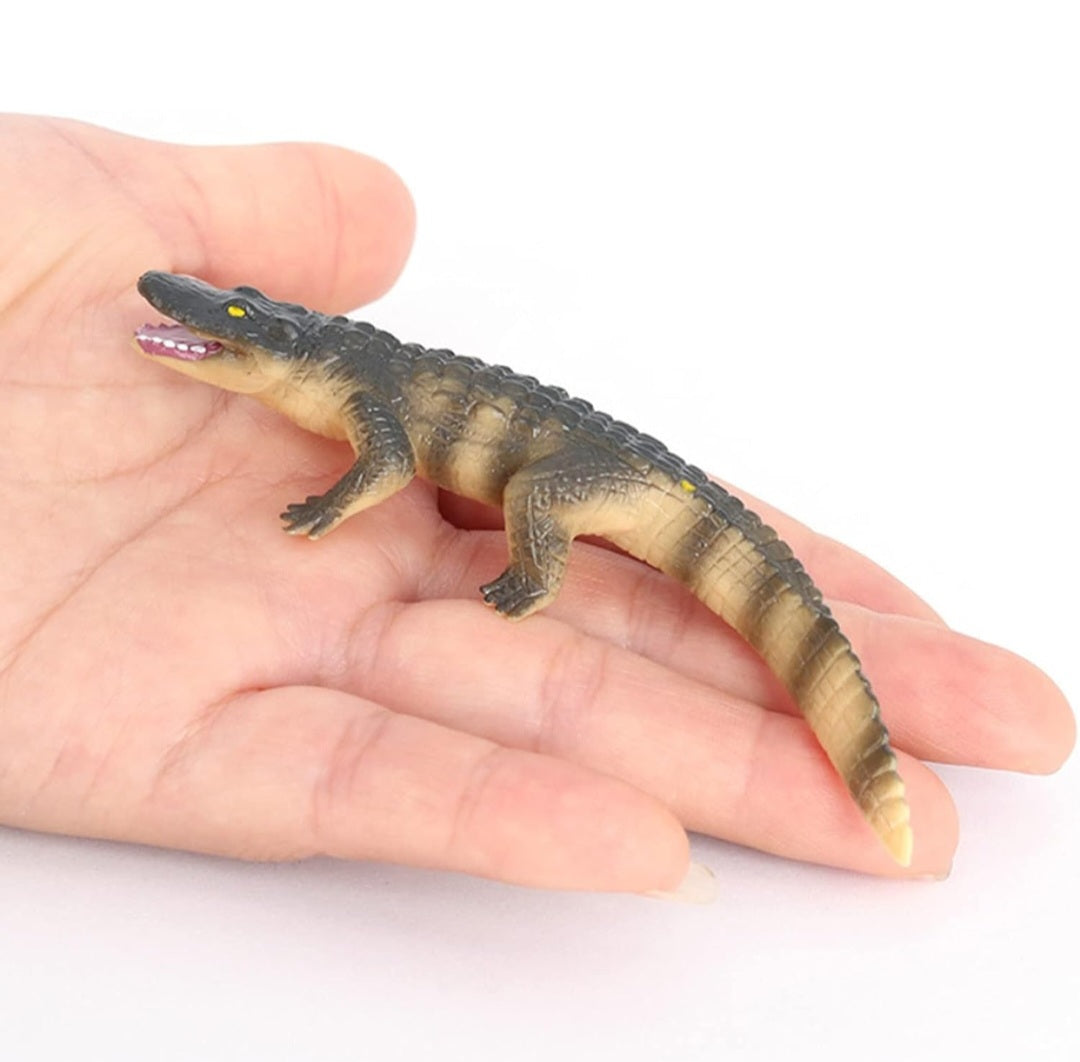 Life Cycle Figurine Sets
