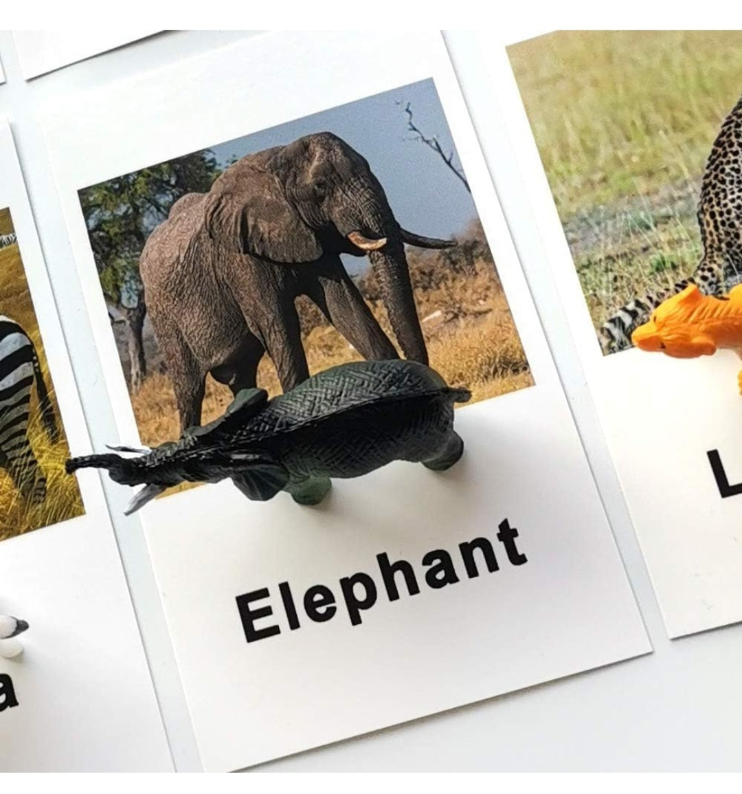 π¦ Montessori Animal Match Set β 
 Animal Figurines with Matching Cards πΏ