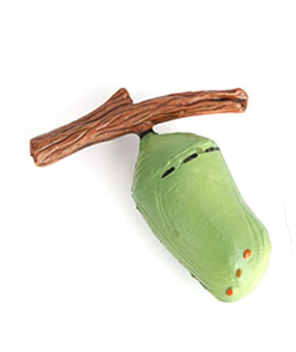 Life Cycle Figurine Sets