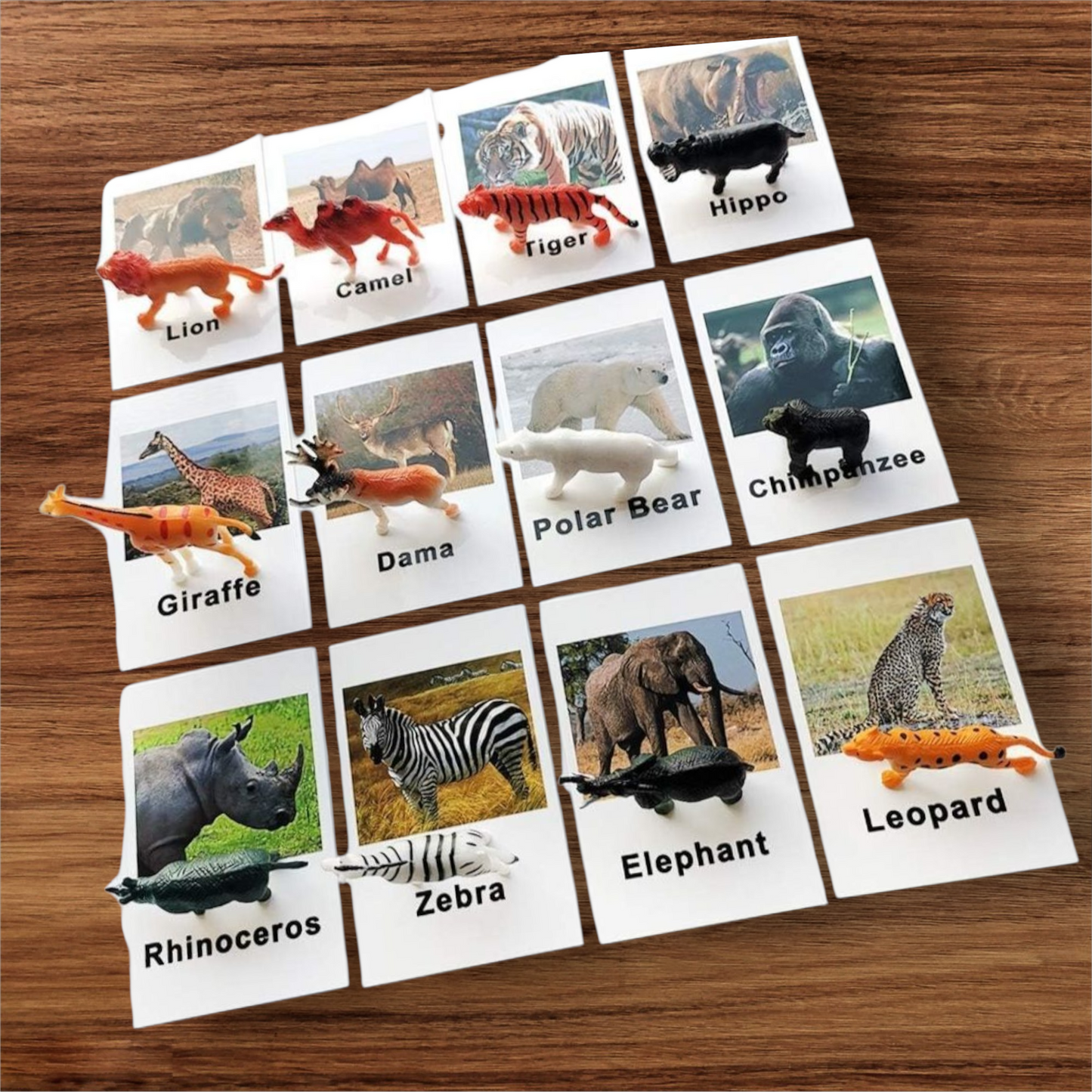 π¦ Montessori Animal Match Set β 
 Animal Figurines with Matching Cards πΏ