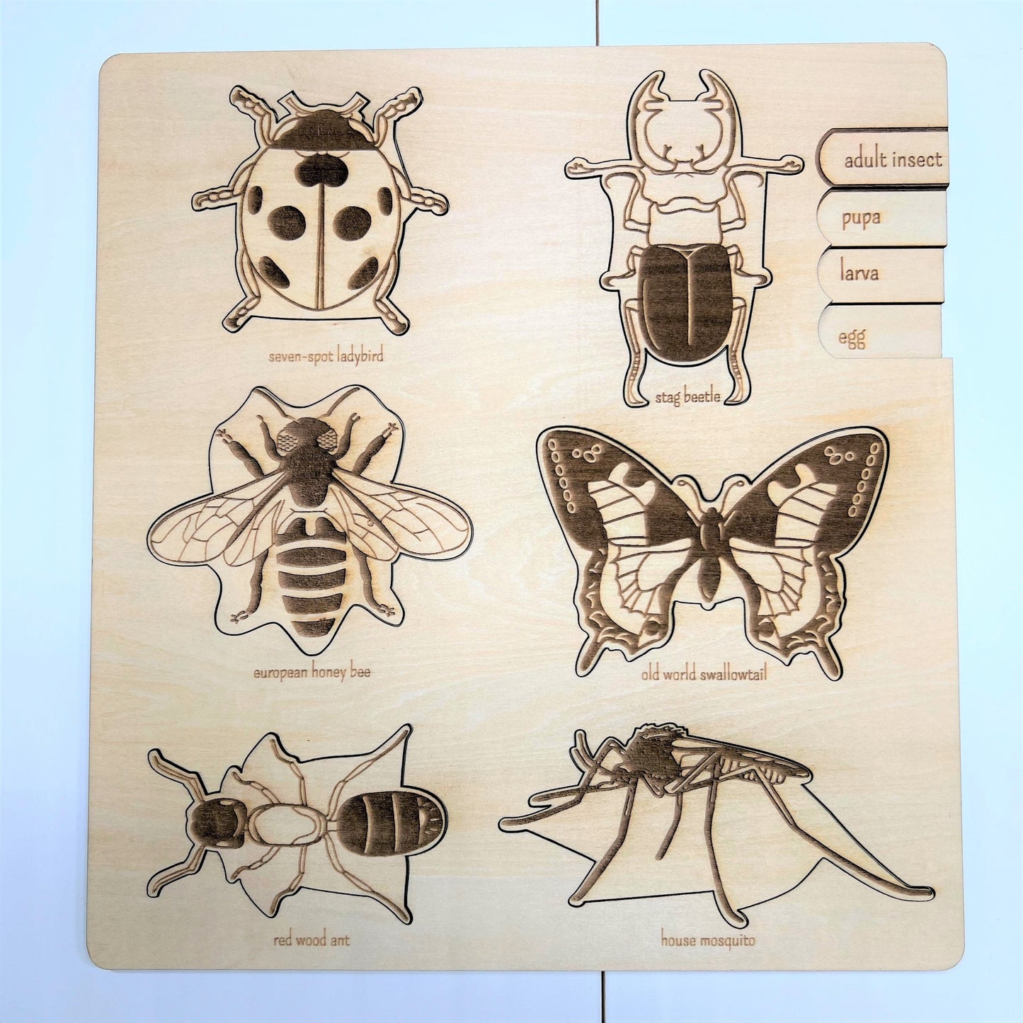 **Pre-order (Ships in 3-4 Weeks)**Educational Multi-Layered Wooden Puzzle