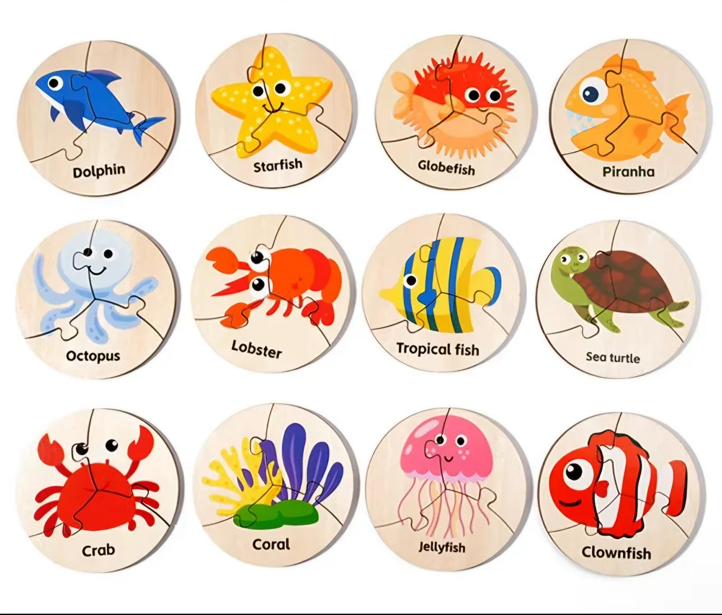Match & Learn Circles