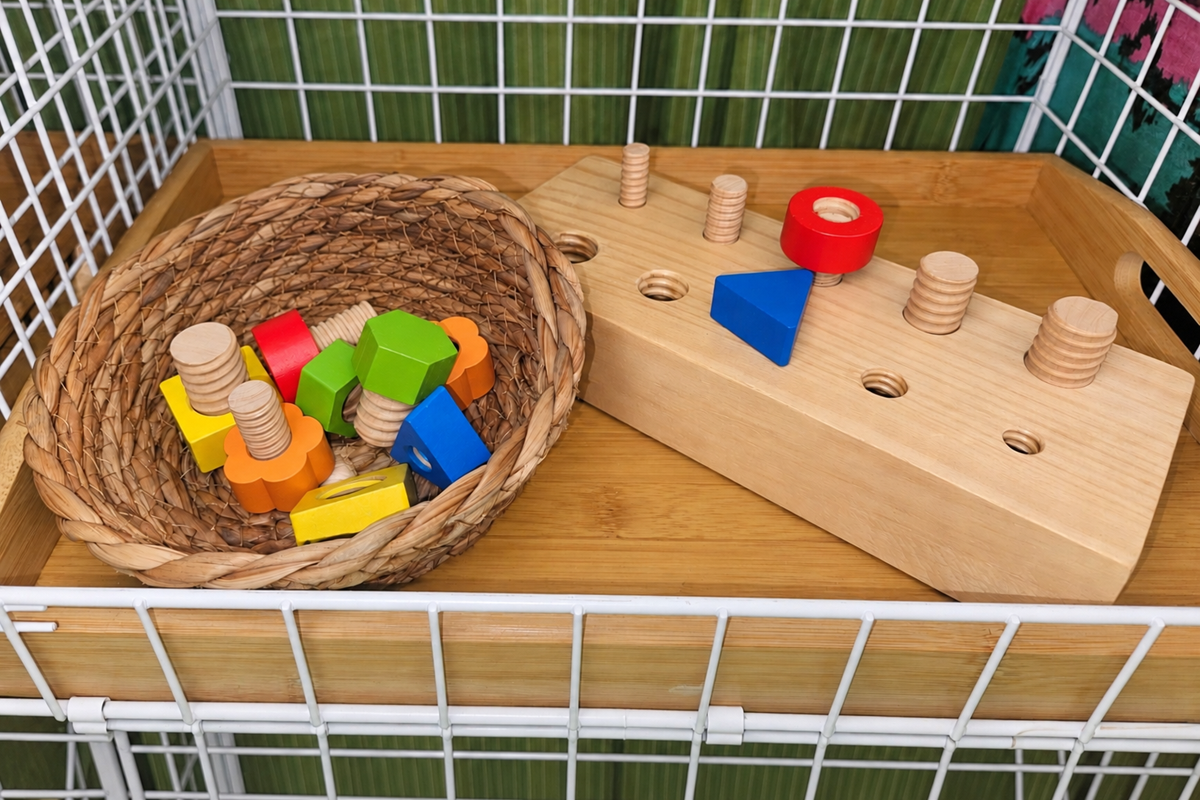 Montessori Wooden Nut & Bolts Toy