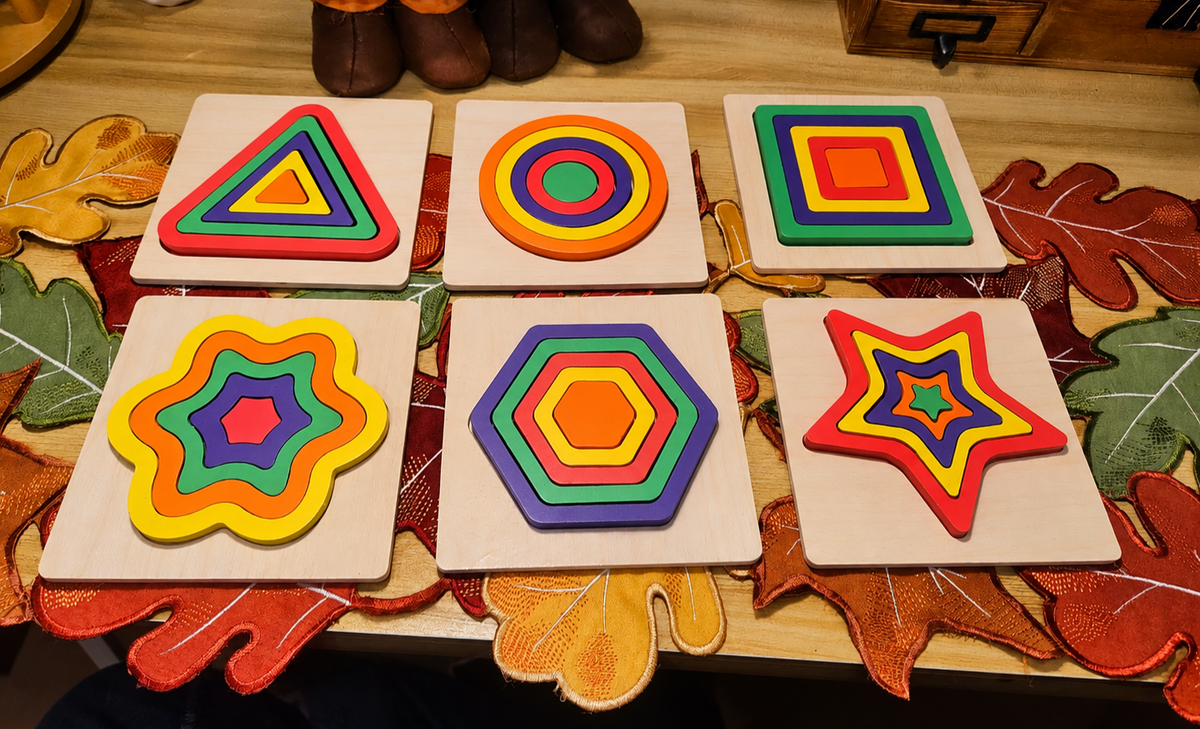 Montessori Wooden Shape Sorting Puzzles