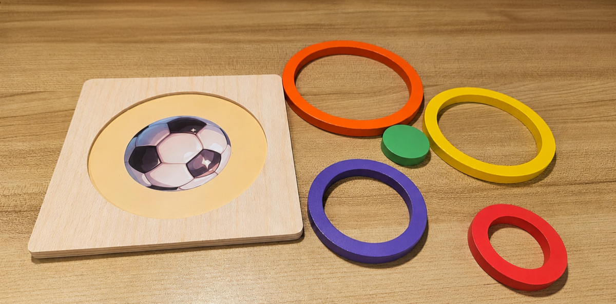 Montessori Wooden Shape Sorting Puzzles
