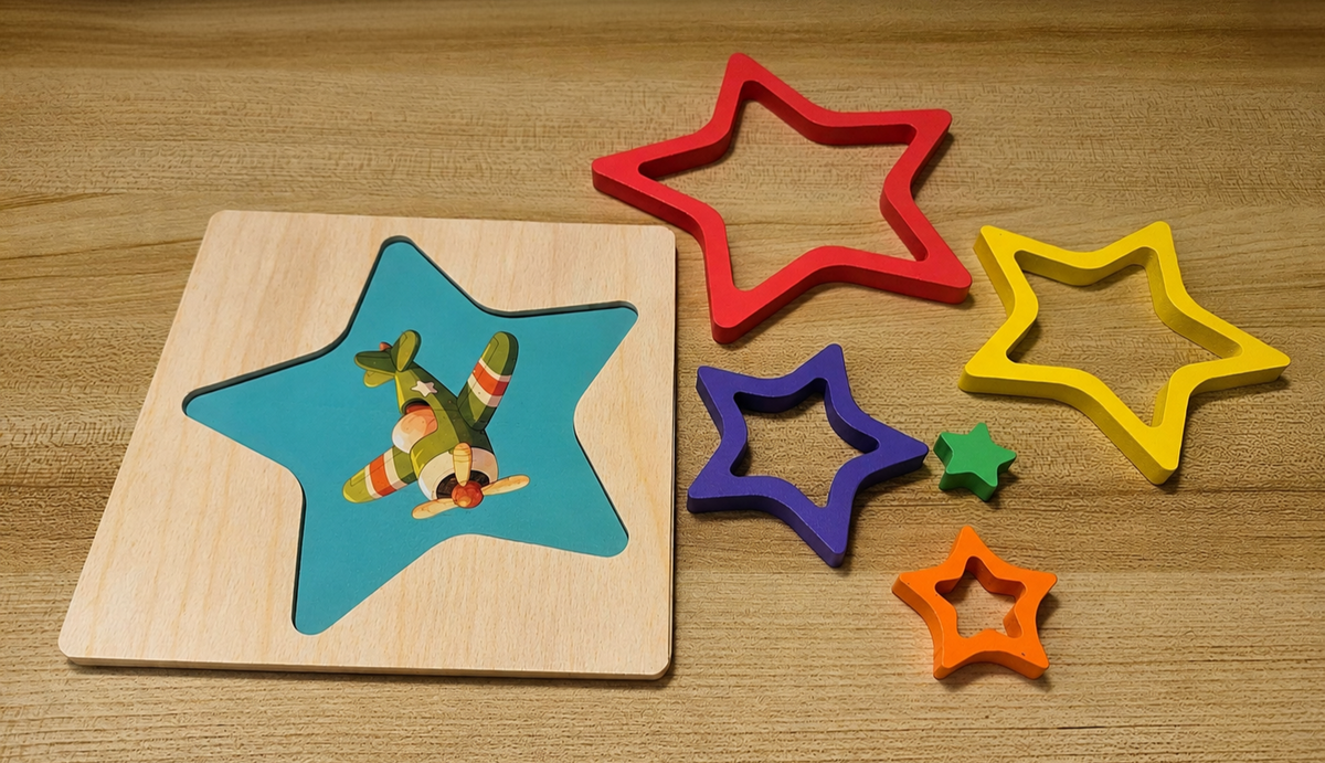 Montessori Wooden Shape Sorting Puzzles