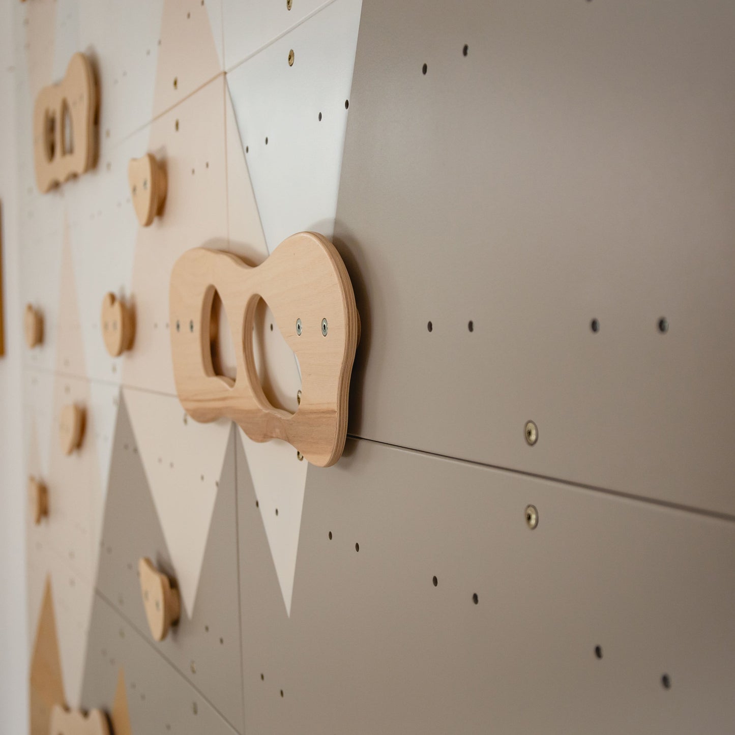 Indoor Climbing Wall