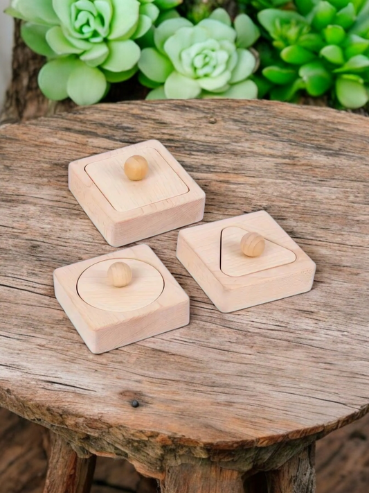 Montessori Wooden Shape Puzzles