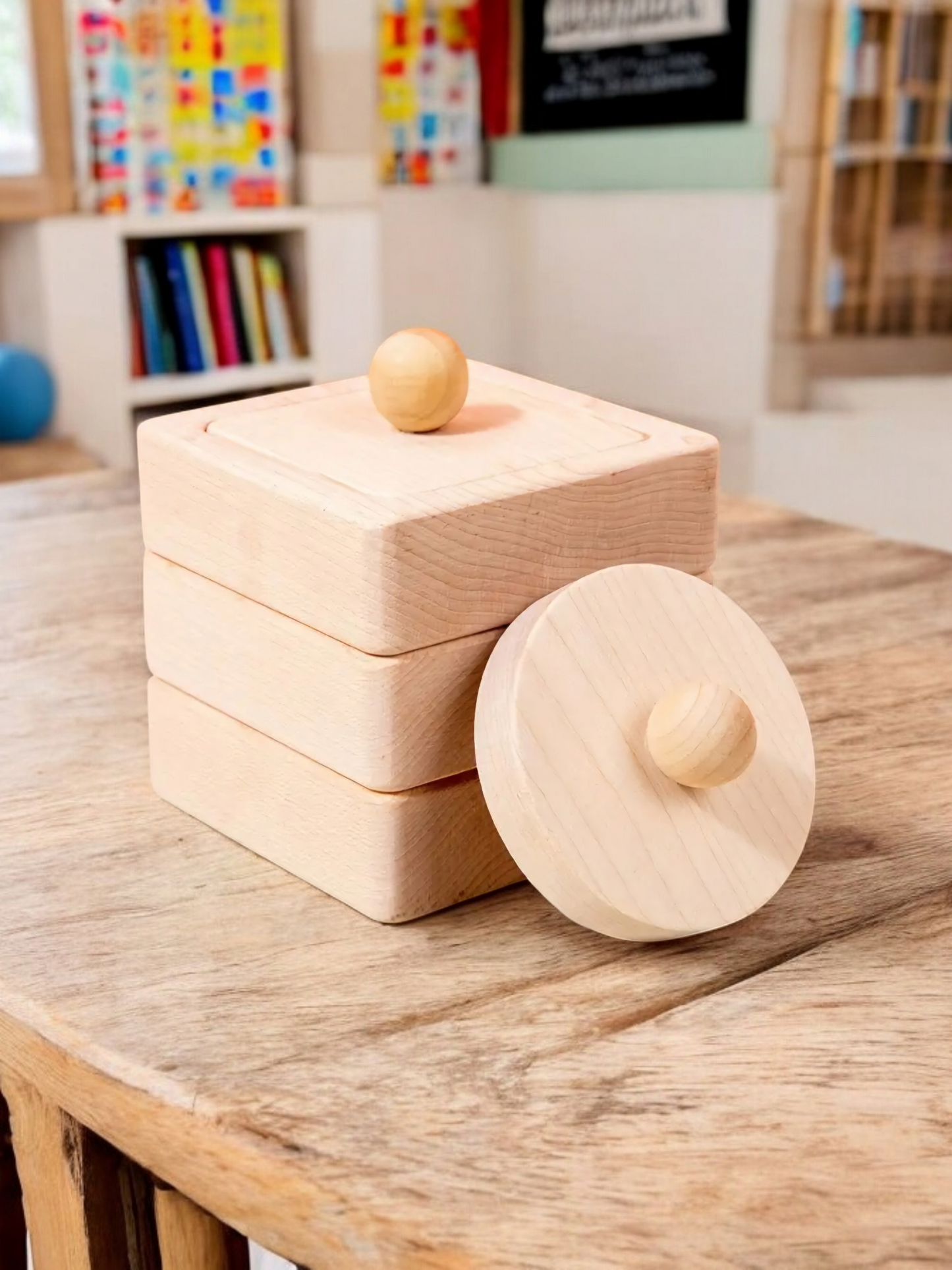 Montessori Wooden Shape Puzzles