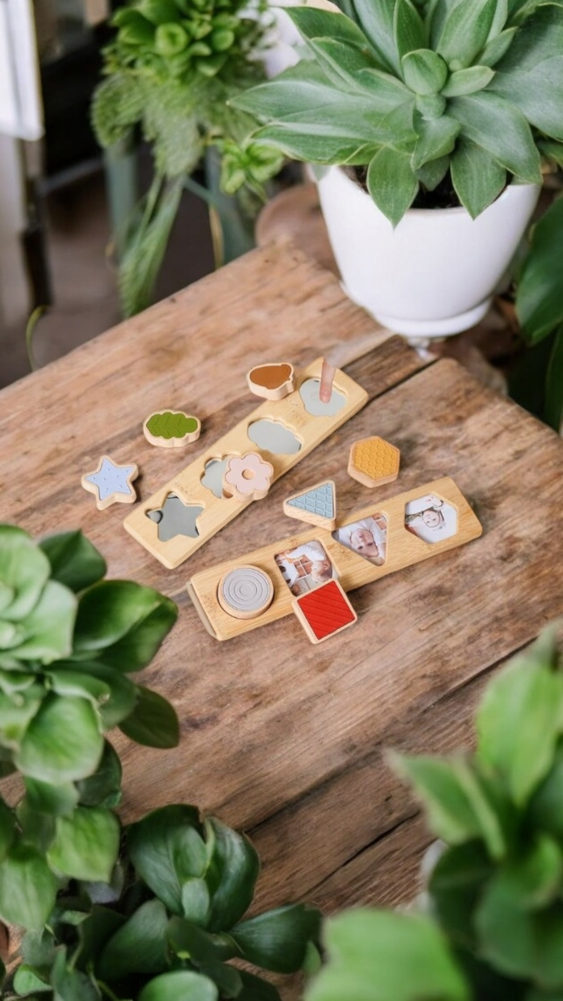 Shape Sorting Puzzles Set