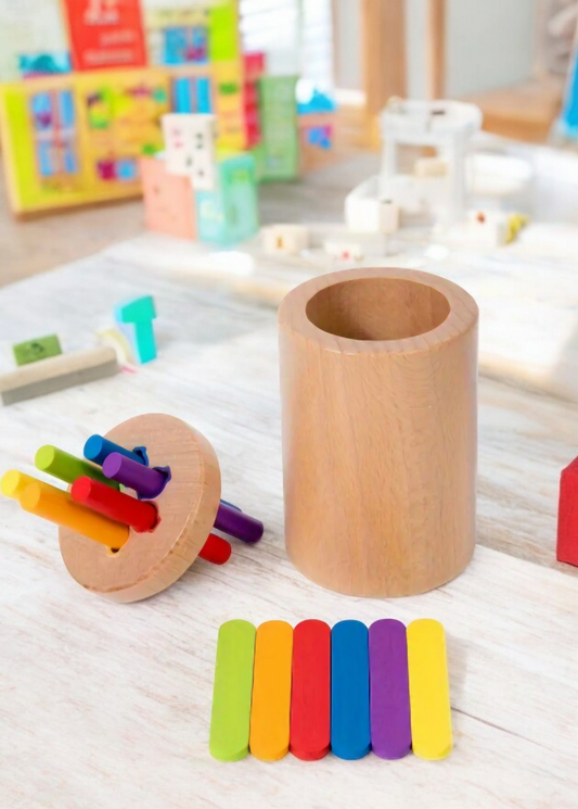 Montessori Color Sorting Toy