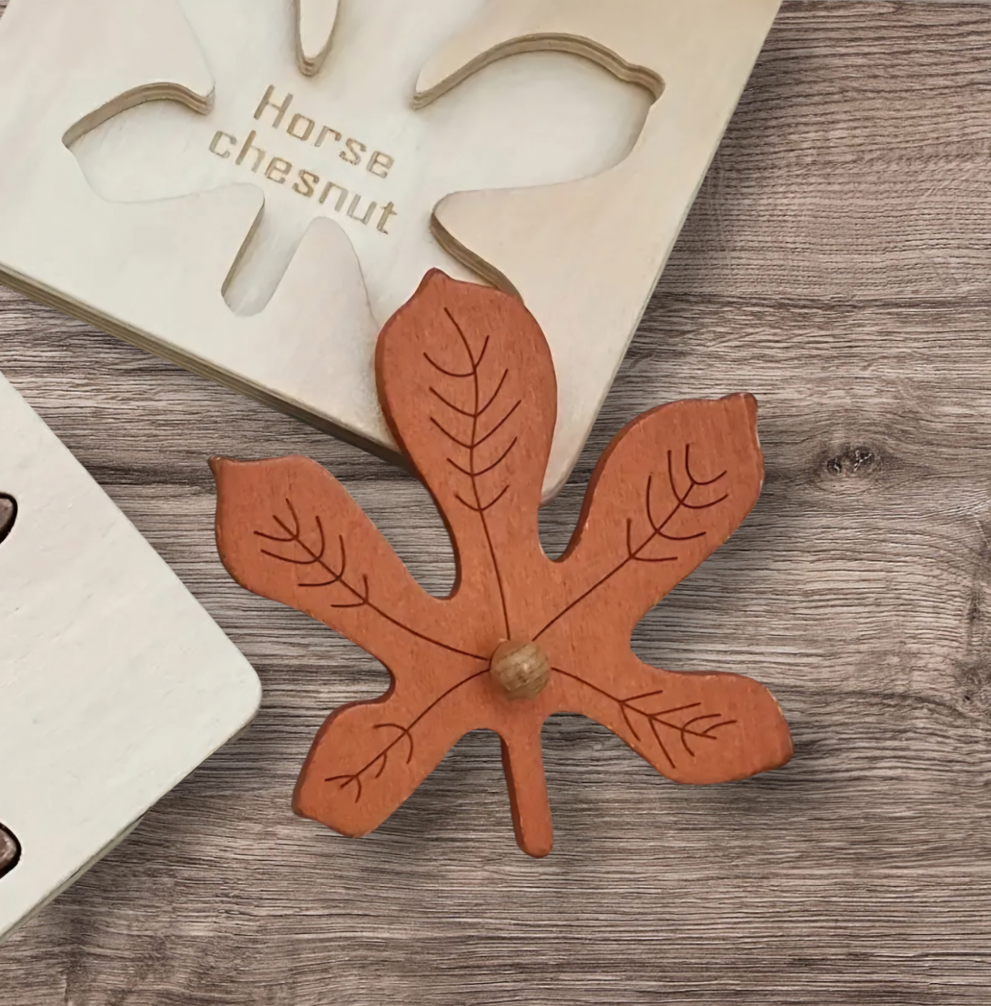 Montessori Leaf Puzzle Toy - 4 pieces