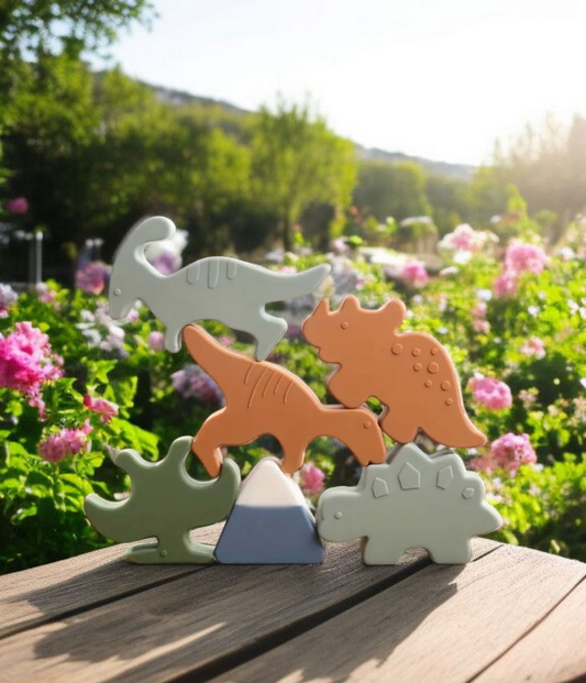 Dinosaur Silicone Sorting & Stacking Puzzle