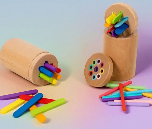 Montessori Color Sorting Toy