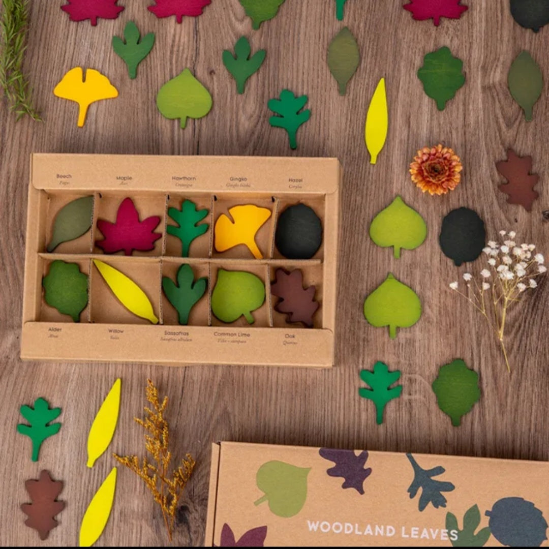 Wooden Leaf Play Set - 40-Piece Loose Parts Play for Little Botanists