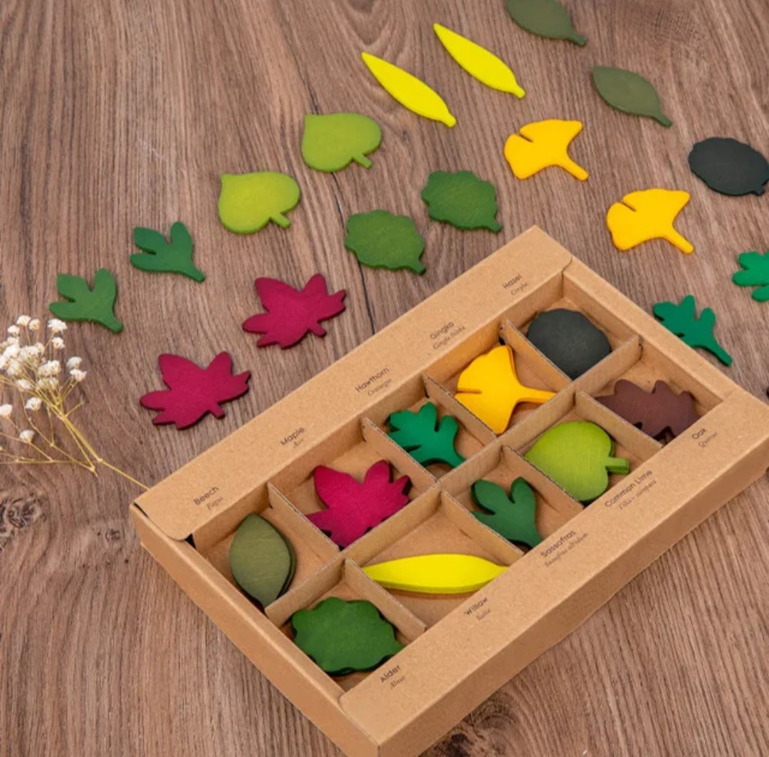 Wooden Leaf Play Set - 40-Piece Loose Parts Play for Little Botanists