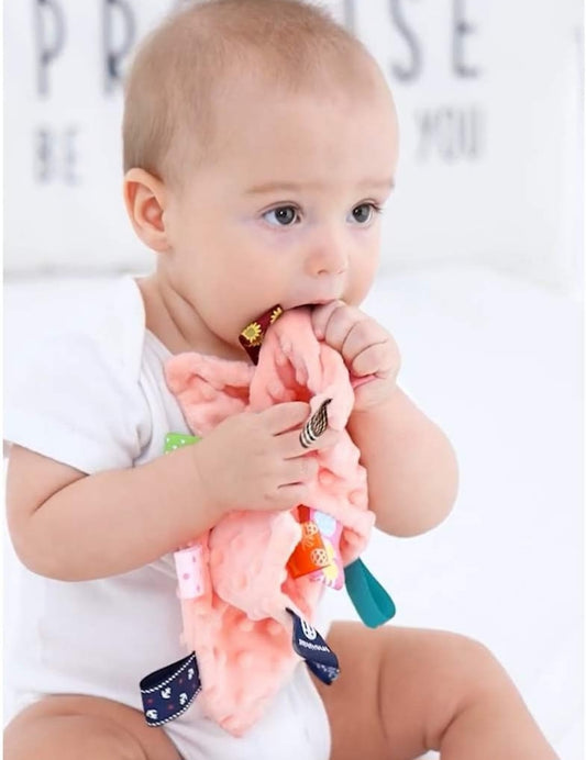 🌈 BABY TAG SECURITY BLANKETS 🌈

Soft, soothing sensory loveys designed for little hands & growing minds 💖
